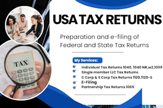 prepare and expert tax filing of US tax returns for personal corporate and llc