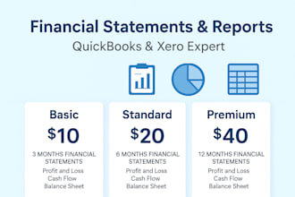 do monthly bookkeeping and accounting