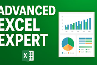 create professional excel spreadsheets, formulas and reports
