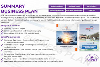 prepare an investor ready business plan summary