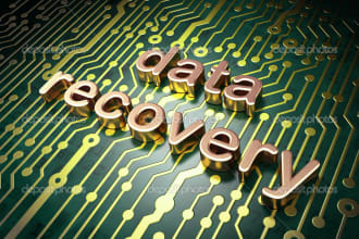 provide expert data recovery for most important files 12 hr