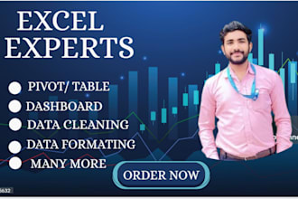 clean,format, merge, split,  create dashboard of  excel data