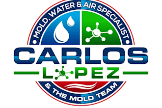 make professional mold , water , air logo design