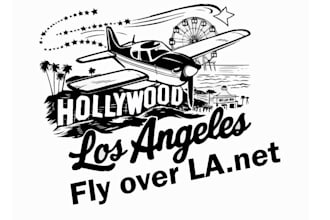 design a original airplane logo for you in just 1 day