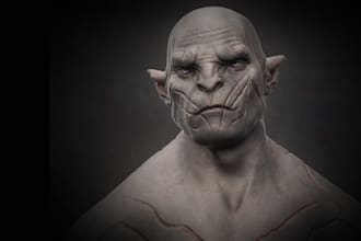 professionally rig and weight paint your mesh in blender with cloth simulation