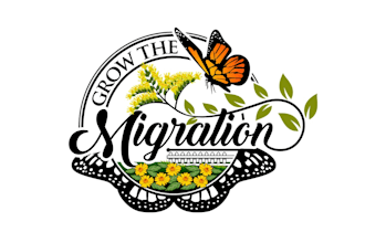 create high quality and beautiful butterfly logo design