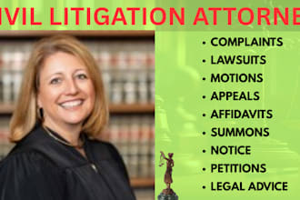 prepare professional lawsuits, complaints, motions, and legal petitions