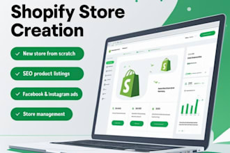 create a professional shopify store with SEO and facebook and instagram ads