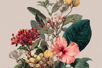 draw botanical illustration of flower illustration