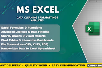 clean, format, analyze your excel data and create dashboards