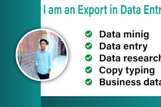 do fast and accurate data entry, data mining, web research