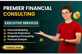 build financial model with forecast, budget and financial analysis