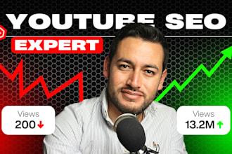 do youtube SEO, channel optimization and grow your channel