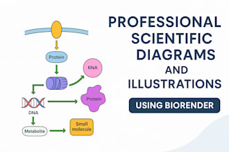 design journal ready scientific figures and diagrams in biorender
