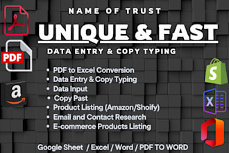 do fast data entry copy typing and excel work 100 accuracy
