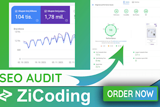 do professional SEO audit and website analysis for better ranking
