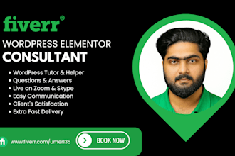 do live wordpress consulting, teaching or troubleshooting