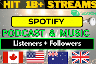 trend spotify songs hit organic steamers spotify music promotion spotify