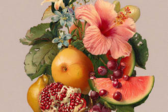 draw botanical illustration of plants and flowers
