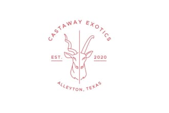 design unique castaway exotics logo