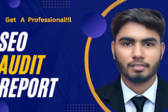 provide professional SEO audit report with full details