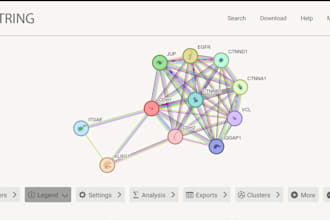 analyze lncrna expression and pathways using gepia2 string enrichr genemania