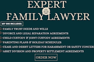 draft family trust deeds, parenting plans, divorce and custody agreements