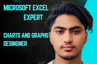 microsoft excel expert and charts,graphs  desingner