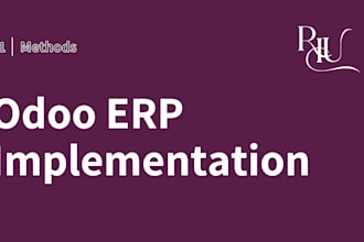 do odoo erp implementation