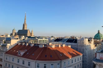 share my vienna tips with you