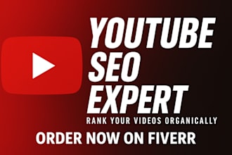 be your youtube video SEO specialist and channel growth manager