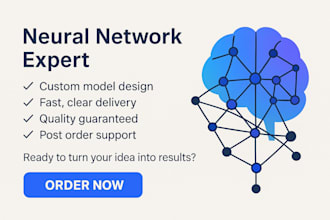 design, train and optimize a custom neural network