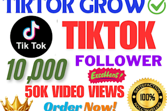 get you 20,000 tiktok followers fast, high quality service