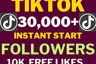 get you instant 20,000 tik tok followers fast