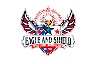 create wonderful and excellent eagle logo design