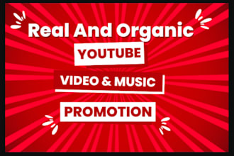 do youtube video promotion in USA