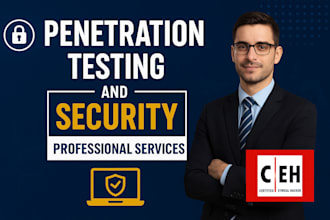 perform professional penetration testing and vulnerability assessment