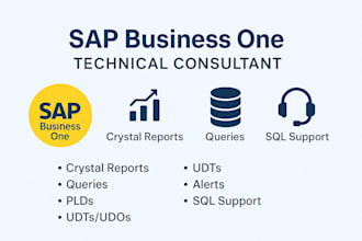 design sap b1 crystal reports and queries