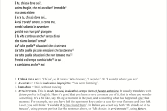 teach you italian language