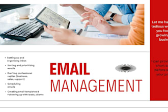 do professional email management and inbox organization