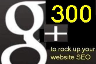 supply you 300 GOOGLE plus google + 1 votes for your website to rockup your seo
