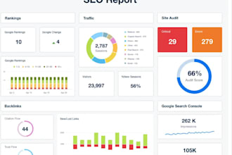 create a professional SEO audit report