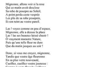 transcript audio in french