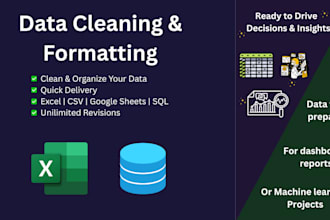 clean, fromat, and do data entry from any sources