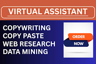 do fast accurate copywriting, copy paste, web research and data mining