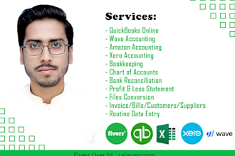 do professional xero bookkeeping and bank reconciliation