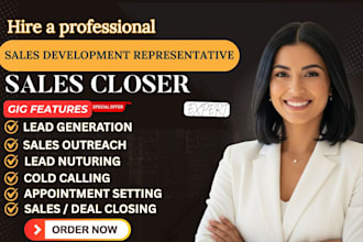 saleperson sales representative sales agent high ticket sales closer