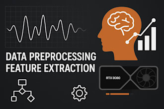 data preprocess and feature extraction and anything else