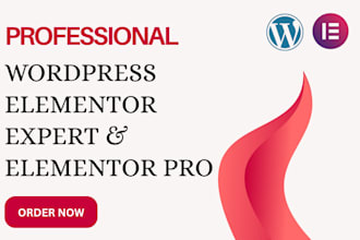 be your wordpress elementor expert and elementor pro
