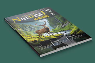 design magazine covers, layouts and ads